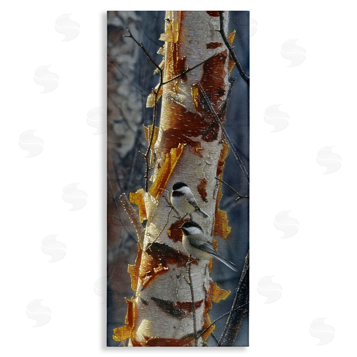 Collin Bogle Sunlit Birch Chickadees Canvas Wall Art Print