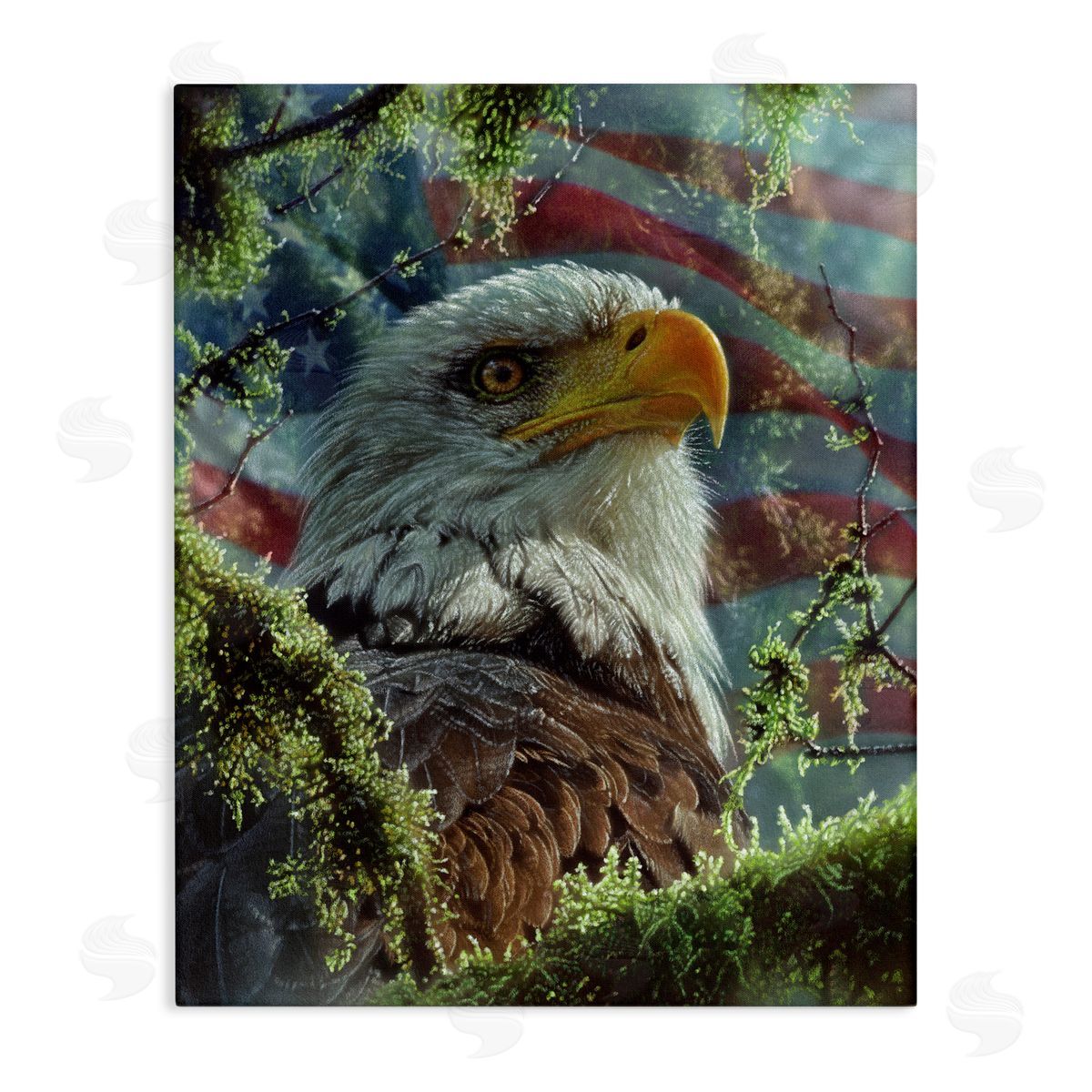 Collin Bogle High & Mighty America Canvas Wall Art Print