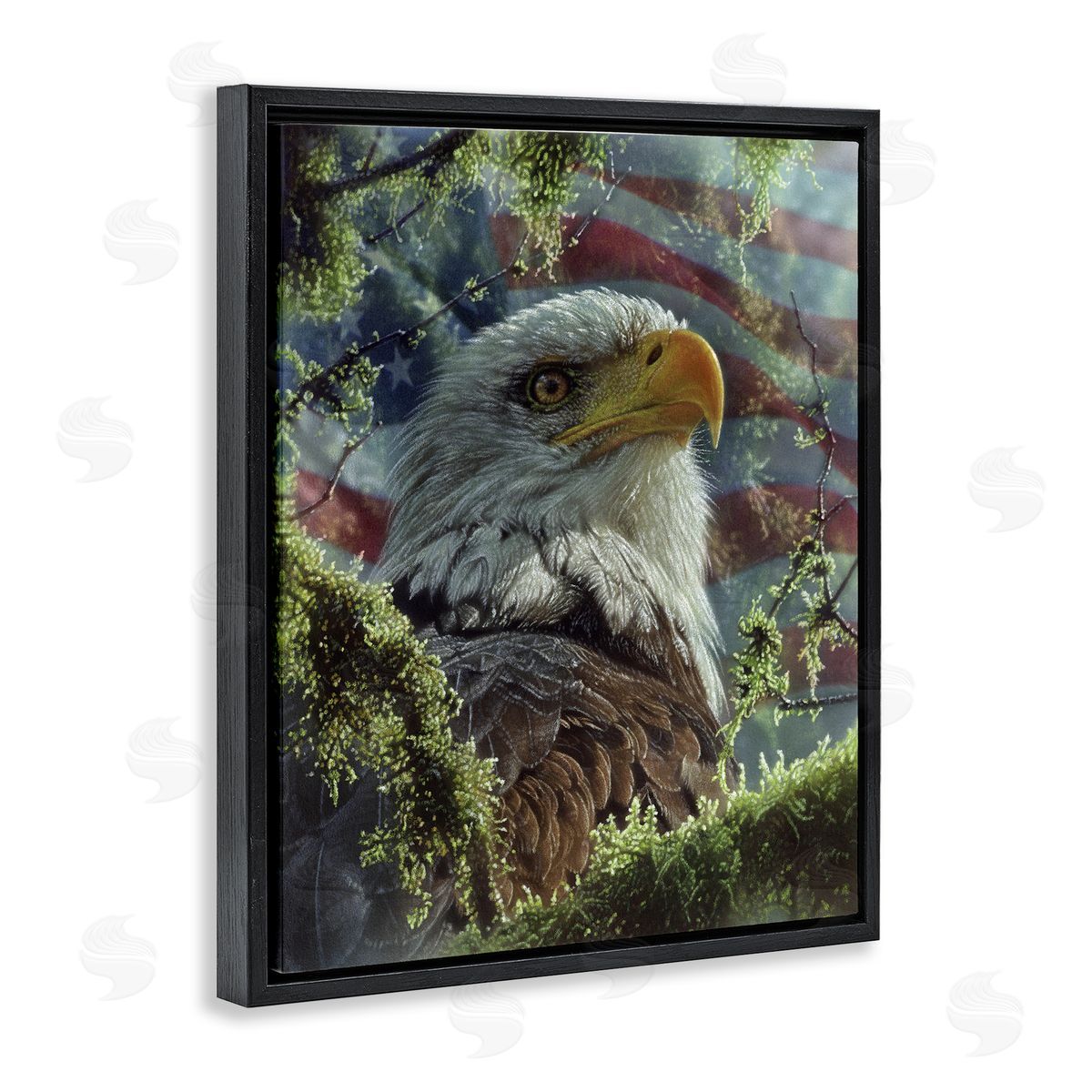 Collin Bogle High & Mighty America Canvas Wall Art Print