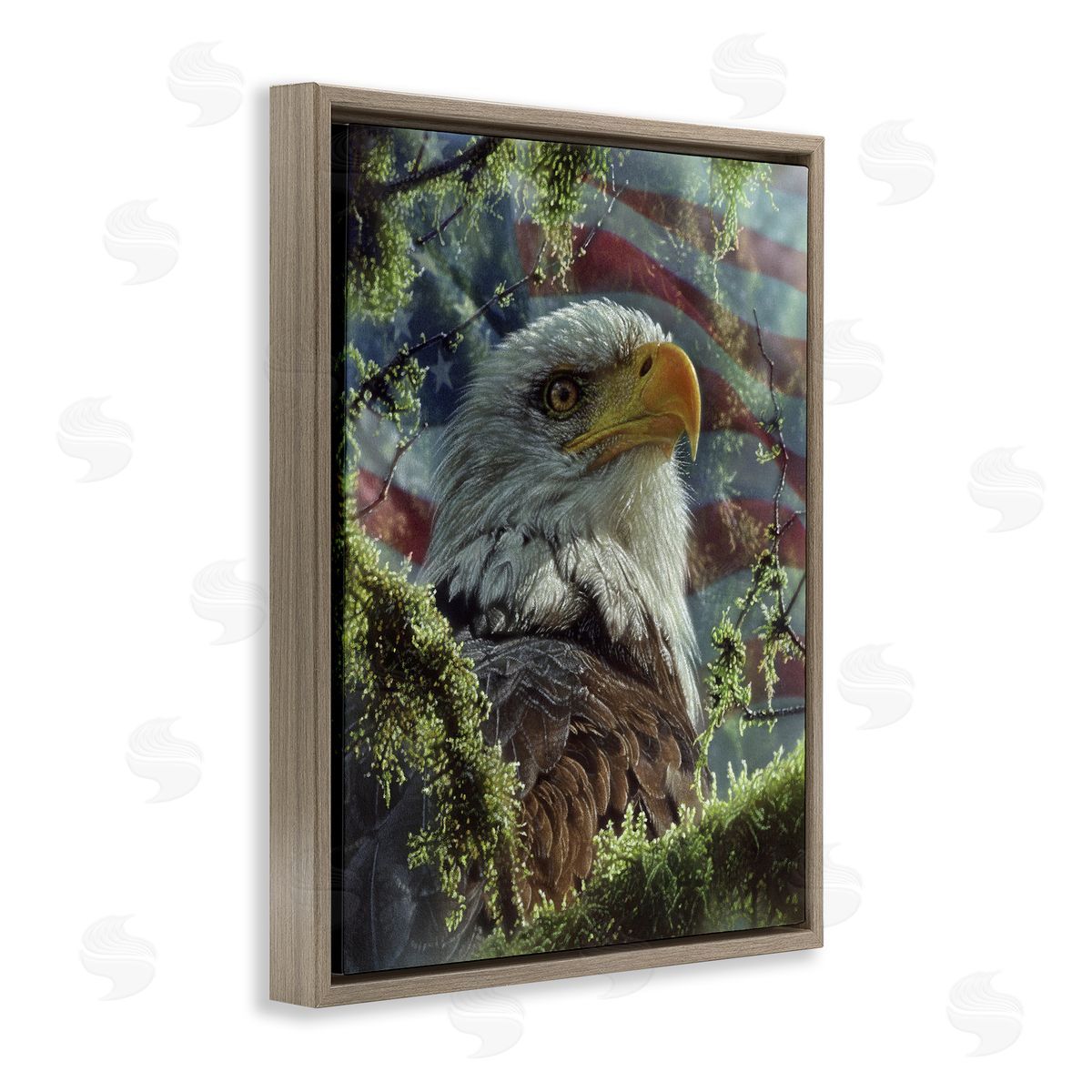 Collin Bogle High & Mighty America Canvas Wall Art Print