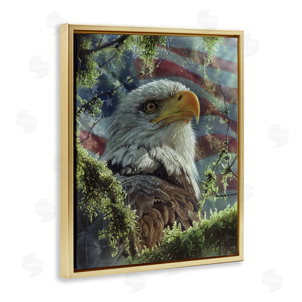 Collin Bogle High & Mighty America Canvas Wall Art Print