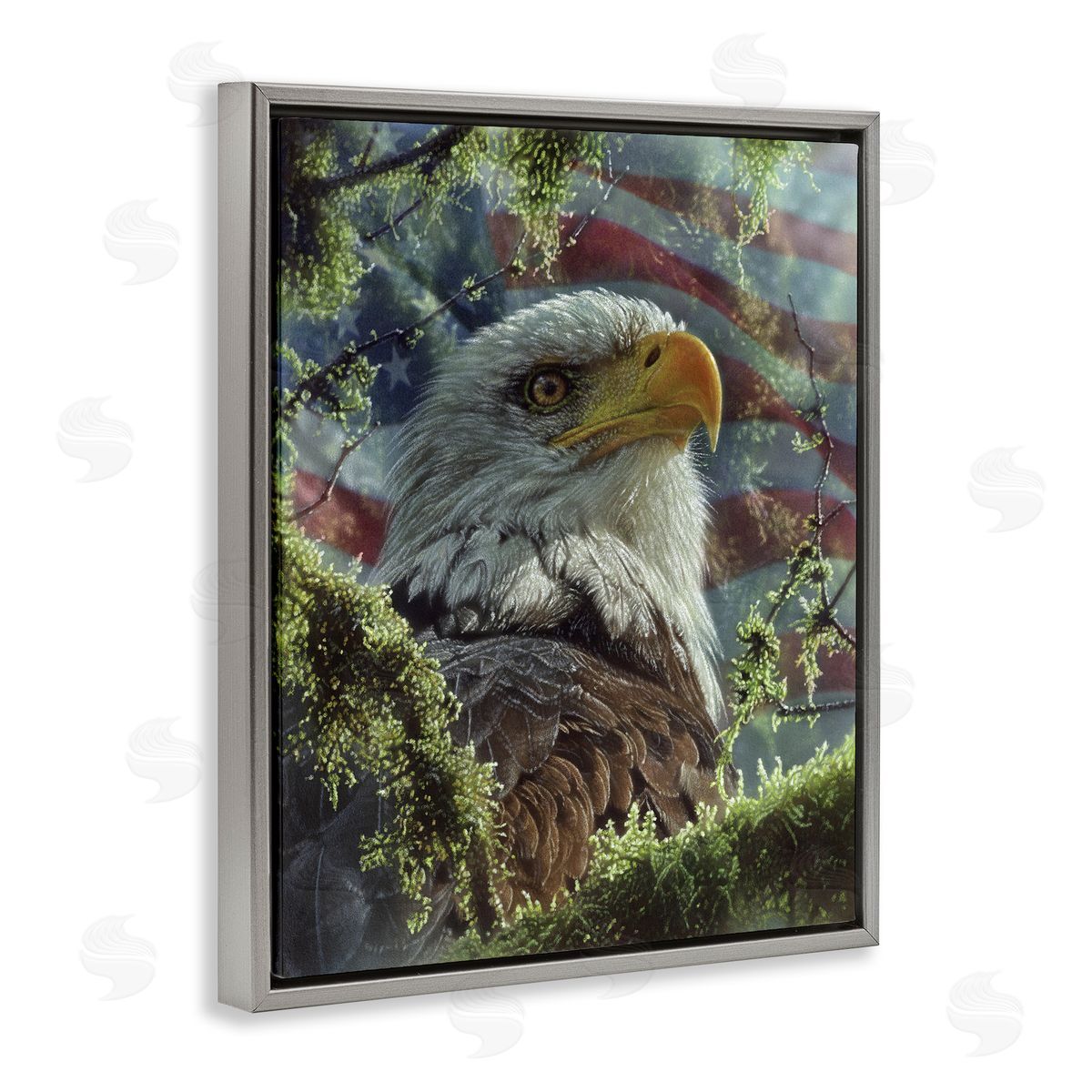 Collin Bogle High & Mighty America Canvas Wall Art Print