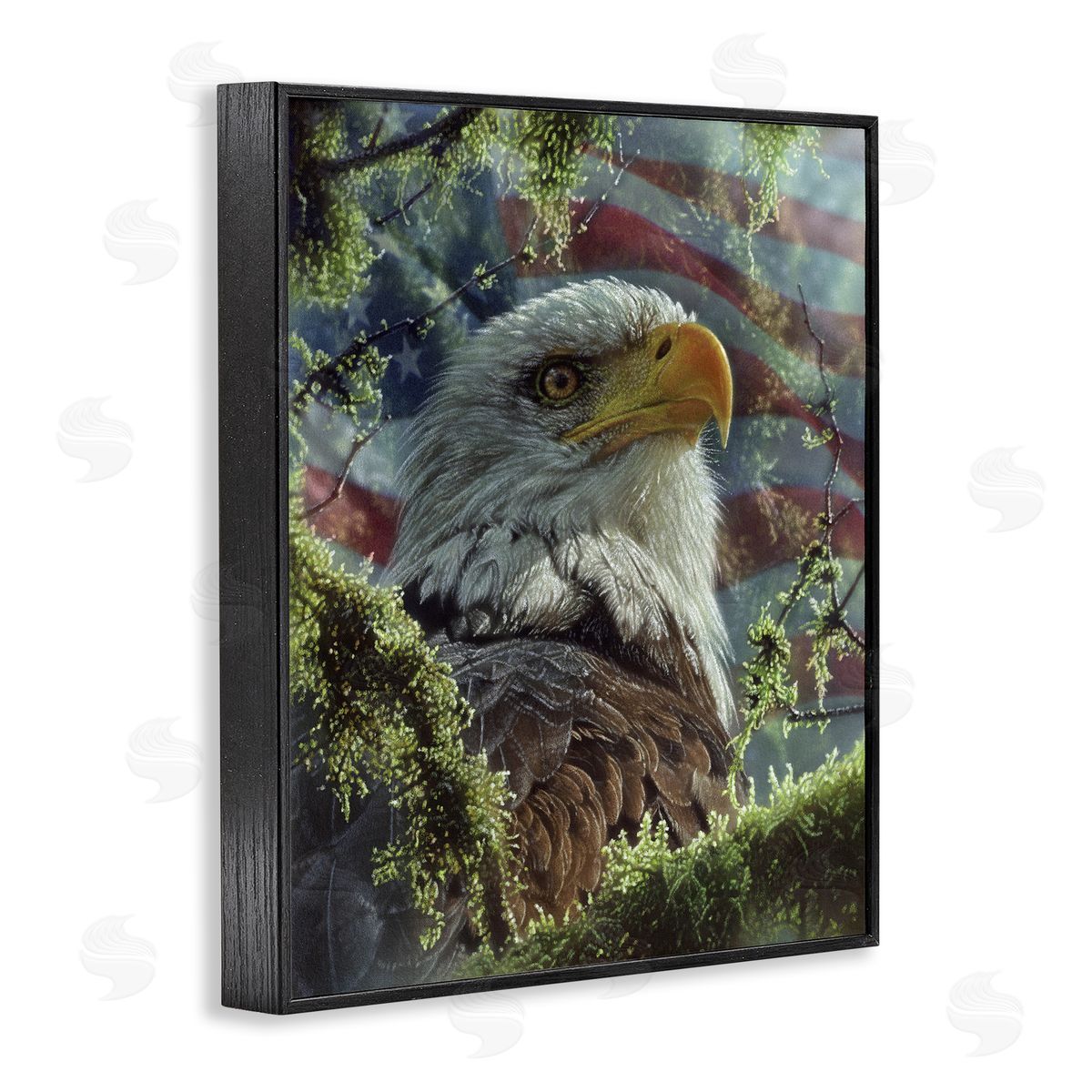 Collin Bogle High & Mighty America Canvas Wall Art Print