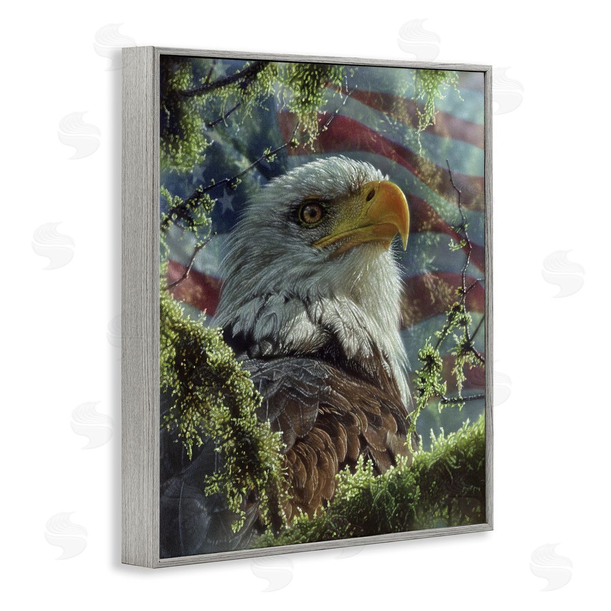 Collin Bogle High & Mighty America Canvas Wall Art Print