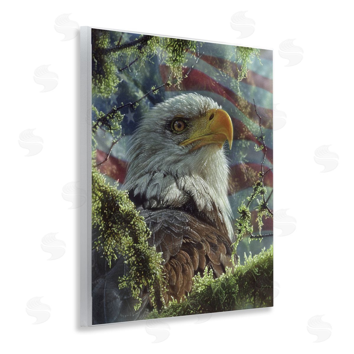 Collin Bogle High & Mighty America Canvas Wall Art Print