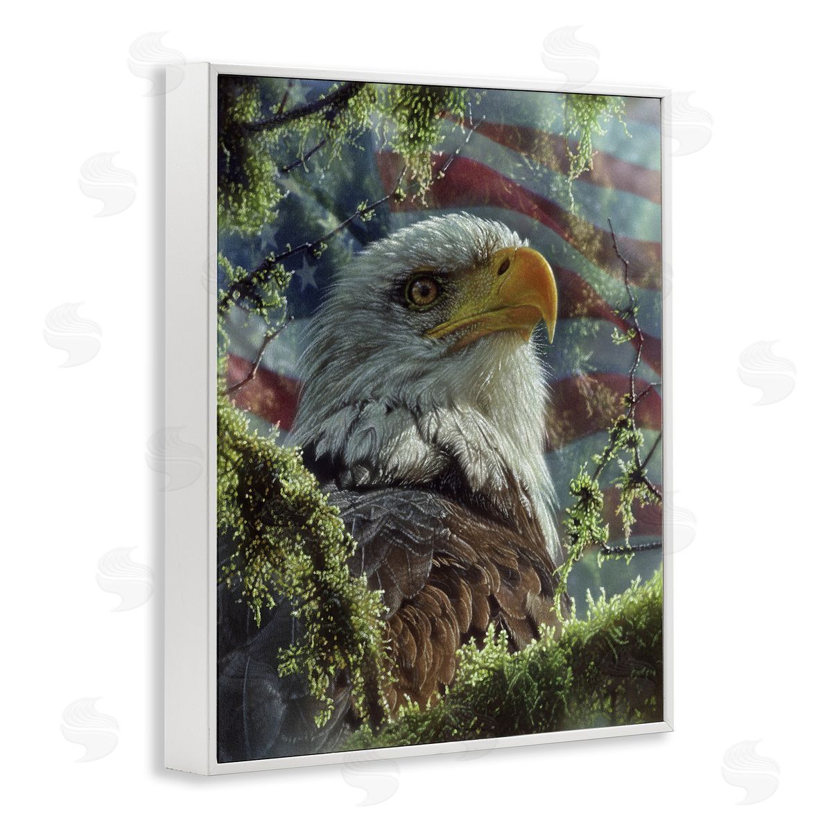 Collin Bogle High & Mighty America Canvas Wall Art Print