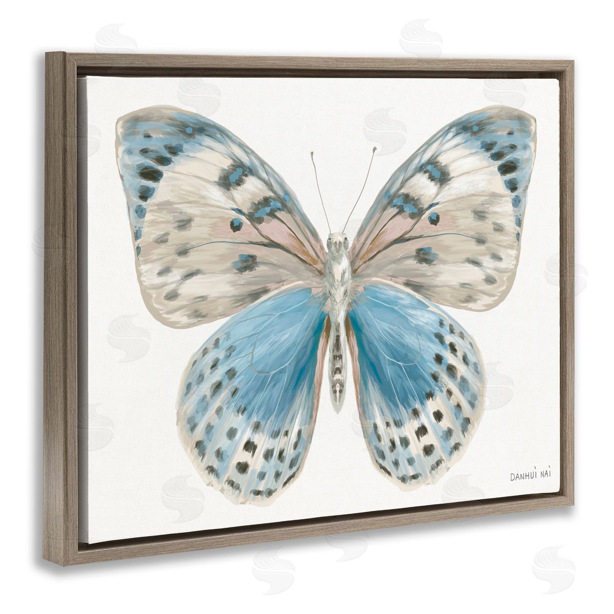Danhui Nai Blue & White Butterfly Brown Floating Frame Canvas Art Print