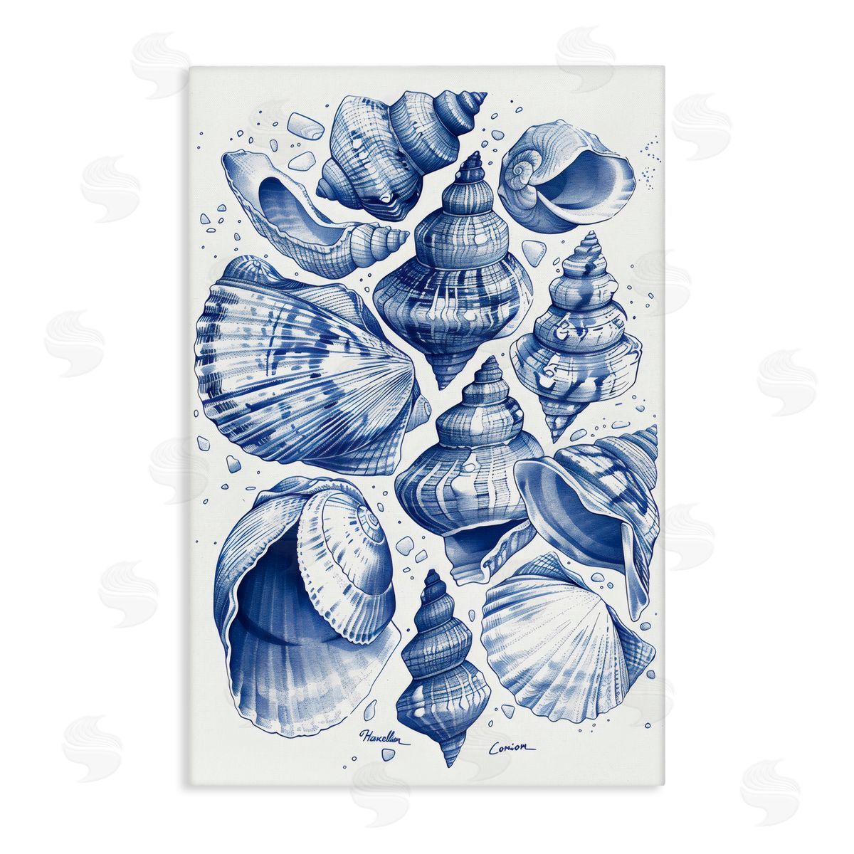 LSR Design Studio Aquatic Conch Collection Canvas Wall Art Print