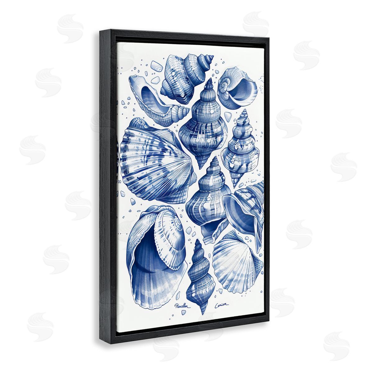 LSR Design Studio Aquatic Conch Collection Black Floating Frame Canvas Wall Art Print