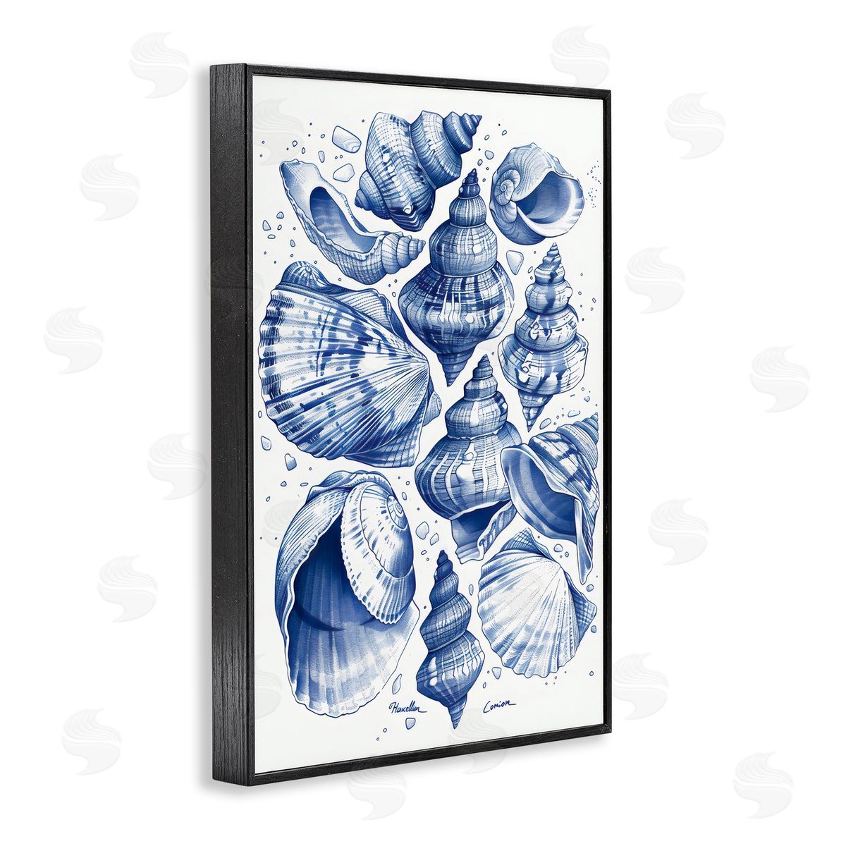 LSR Design Studio Aquatic Conch Collection Black Framed Giclee Art Print