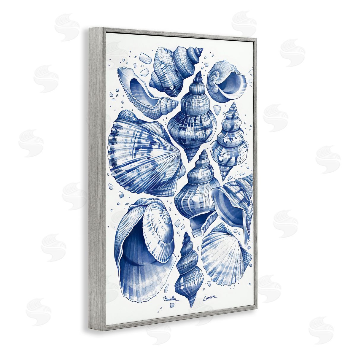 LSR Design Studio Aquatic Conch Collection Gray Framed Giclee Art Print