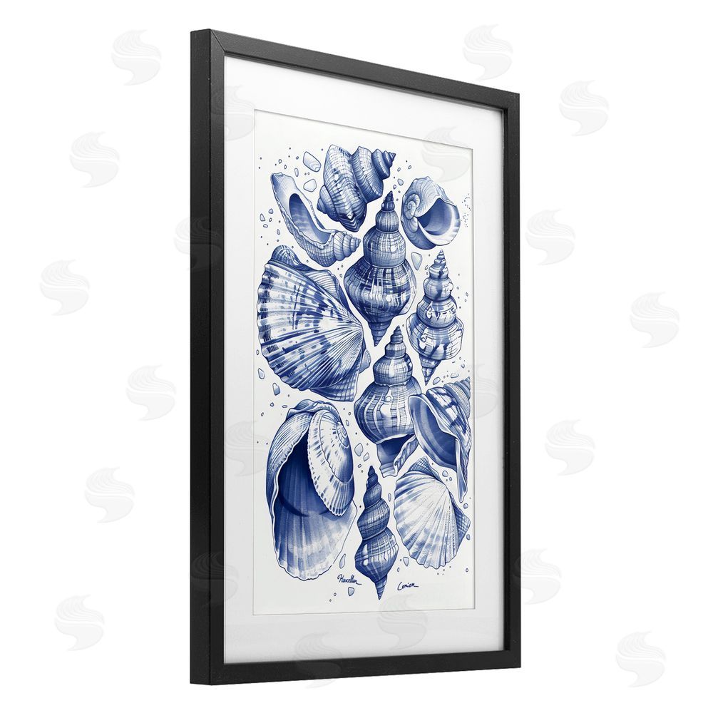 LSR Design Studio Aquatic Conch Collection Black Framed Print Under Glass Art