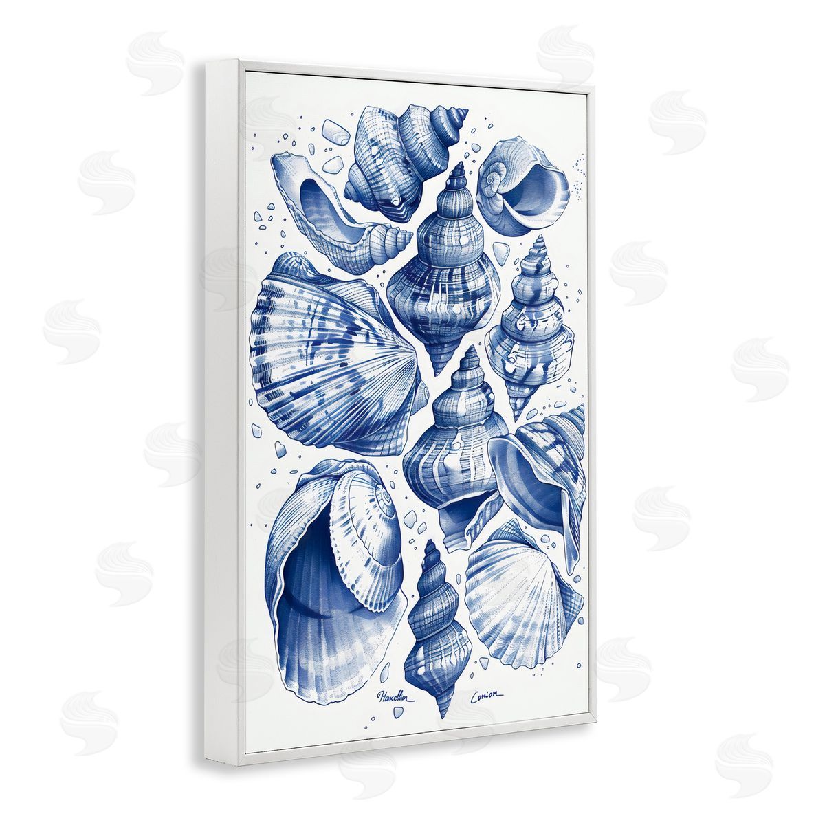 LSR Design Studio Aquatic Conch Collection White Frame Giclee Art Print
