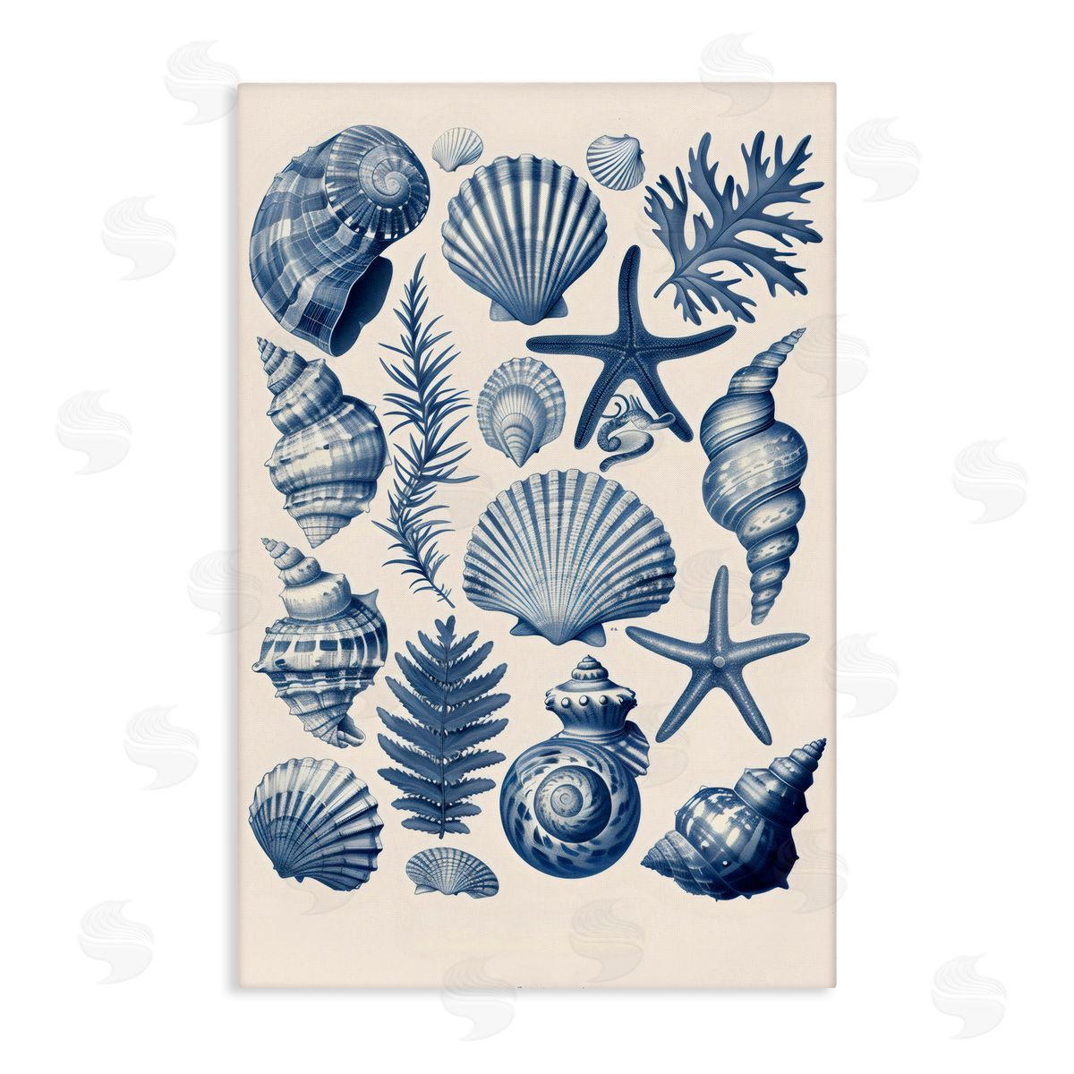 LSR Design Studio Conch & Creature Collection Canvas Wall Art Print