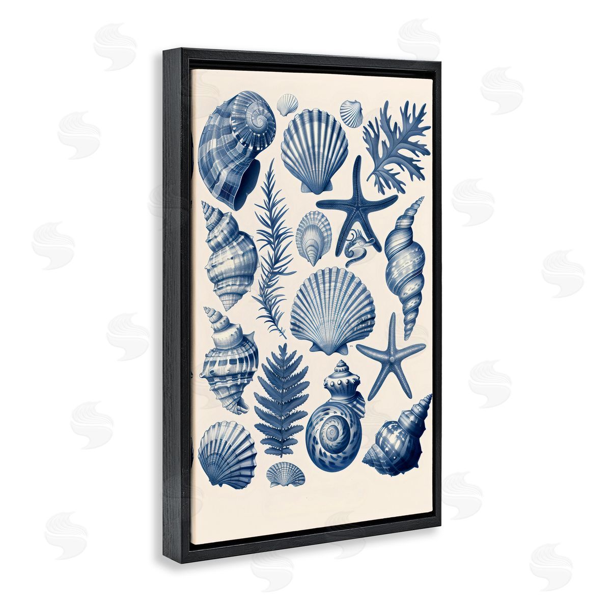 LSR Design Studio Conch & Creature Collection Black Floating Frame Canvas Wall Art Print