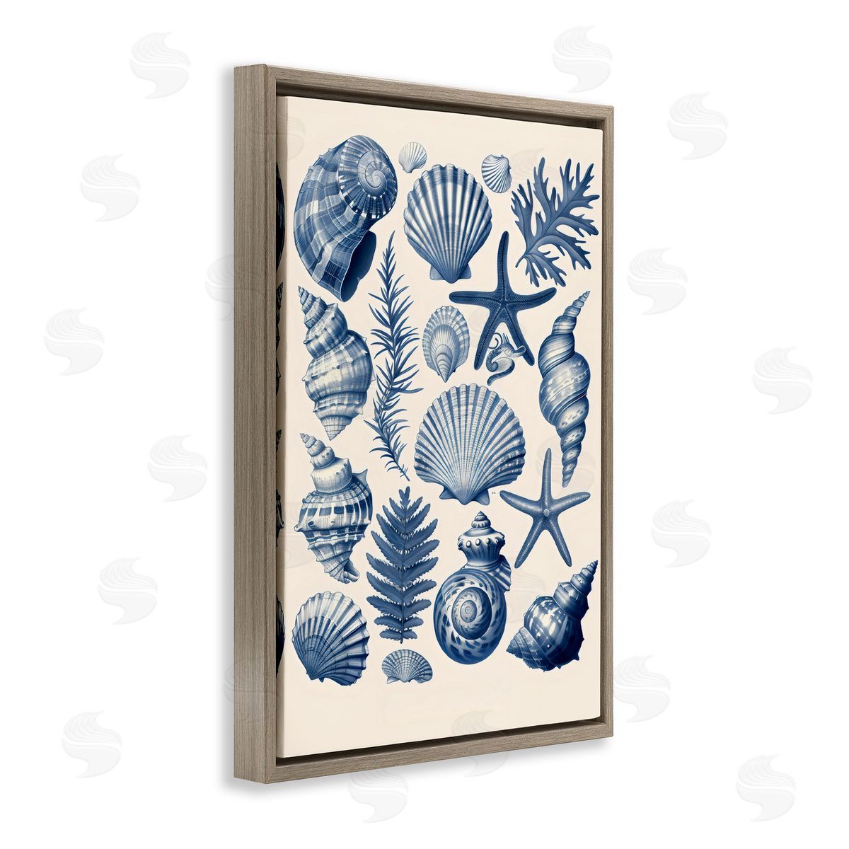 LSR Design Studio Conch & Creature Collection Brown Floating Frame Canvas Art Print