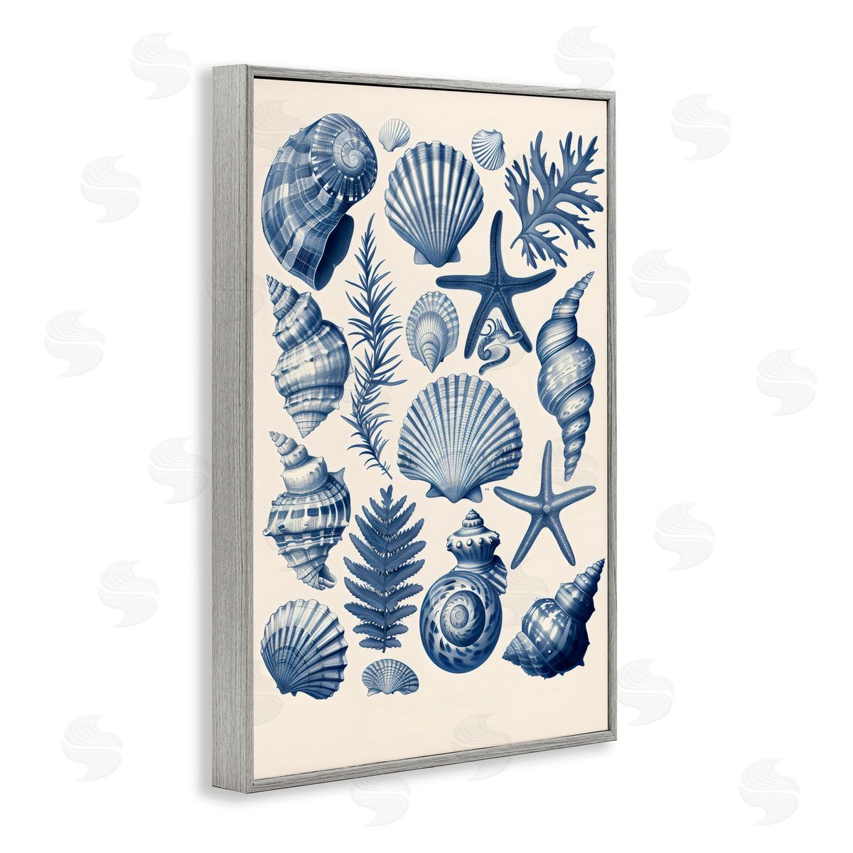 LSR Design Studio Conch & Creature Collection Gray Framed Giclee Art Print