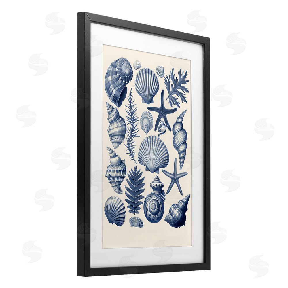 LSR Design Studio Conch & Creature Collection Black Framed Print Under Glass Art
