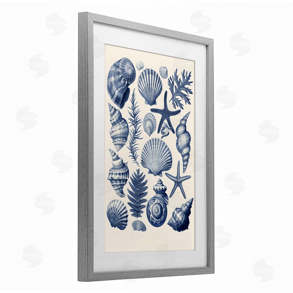LSR Design Studio Conch & Creature Collection Gray Framed Print Under Glass Art