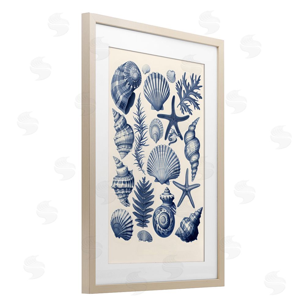 LSR Design Studio Conch & Creature Collection Birch Framed Print Under Glass Art