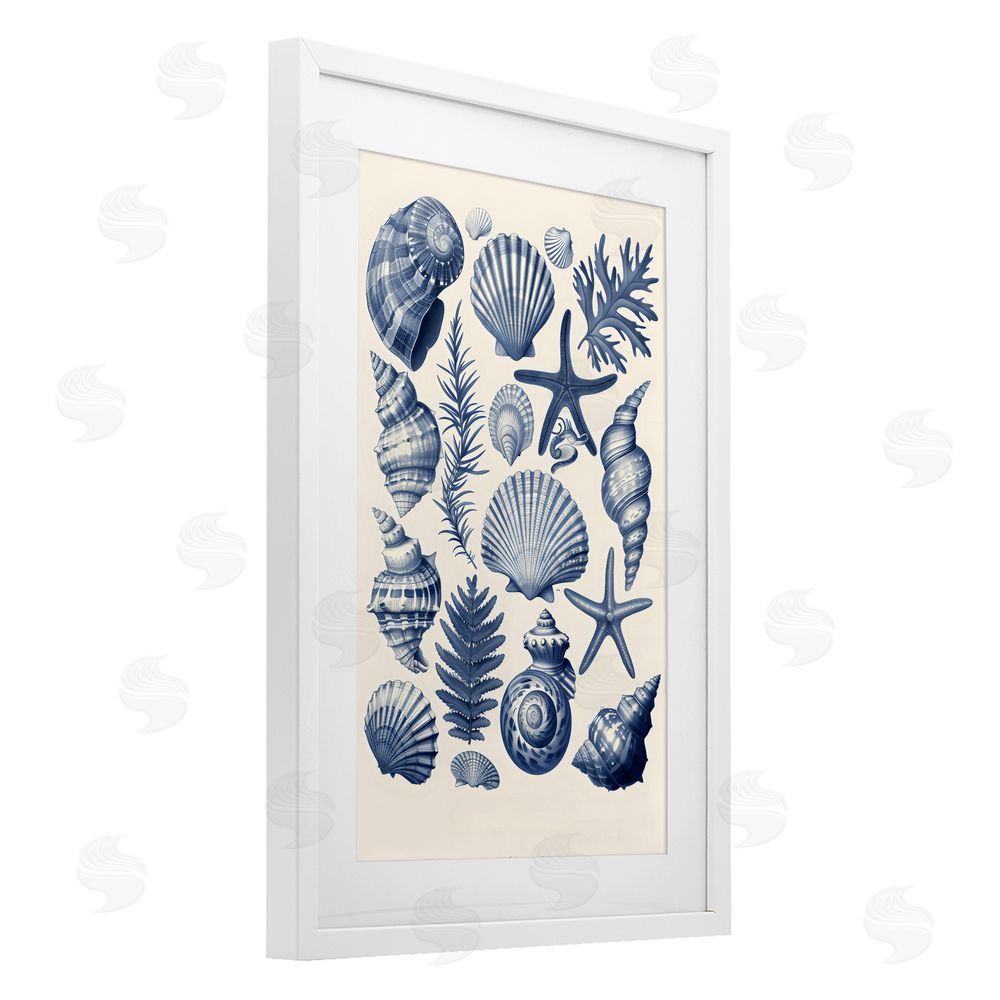 LSR Design Studio Conch & Creature Collection White Framed Print Under Glass Art
