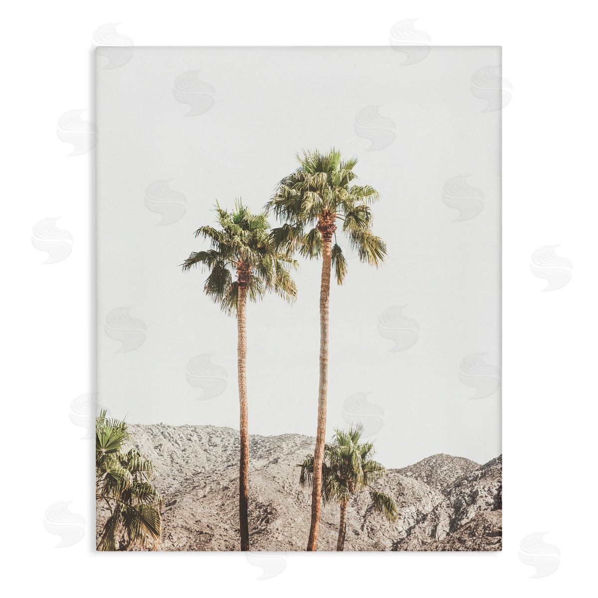 Sisi and Seb Palm Springs Looming Trees Canvas Wall Art Print