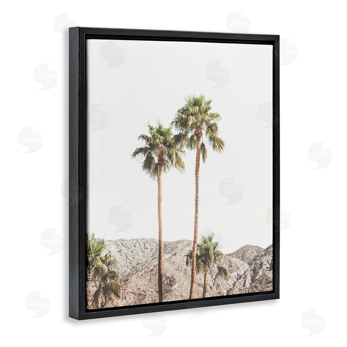 Sisi and Seb Palm Springs Looming Trees Black Floating Frame Canvas Wall Art Print