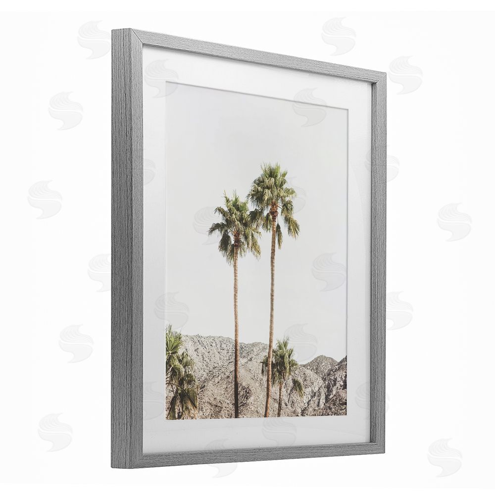 Sisi and Seb Palm Springs Looming Trees Gray Framed Print Under Glass Art