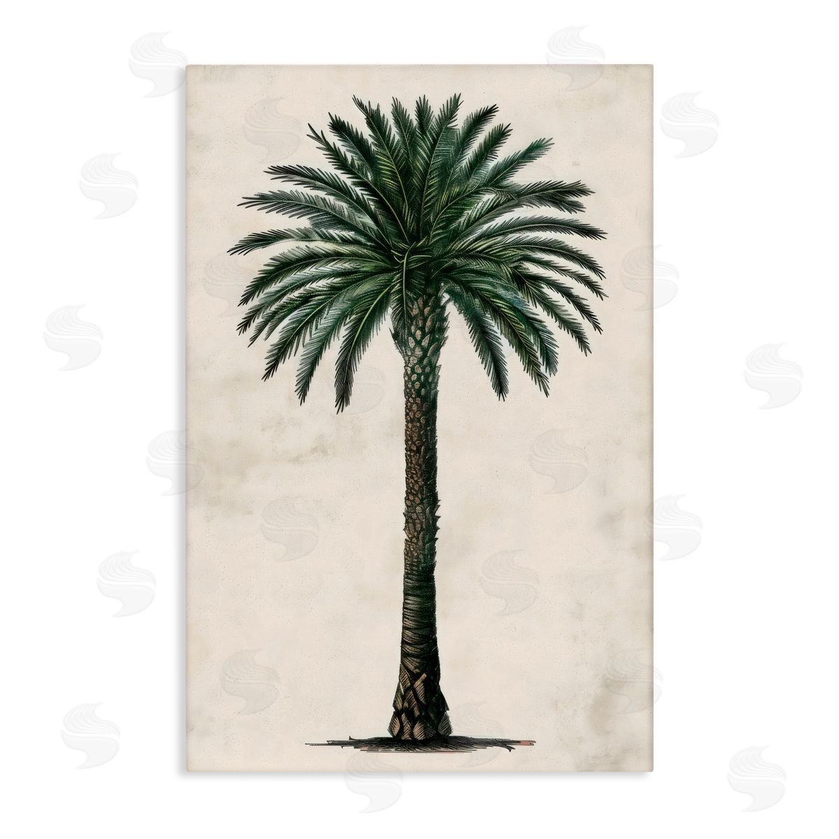 LSR Design Studio Botanical Rounded Palm Tree Canvas Wall Art Print