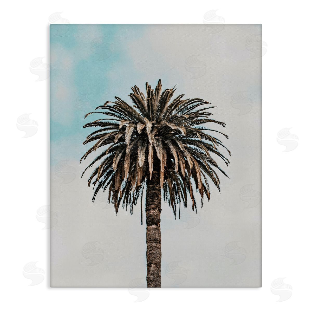LSR Design Studio Centric Elegant Palm Canvas Wall Art Print