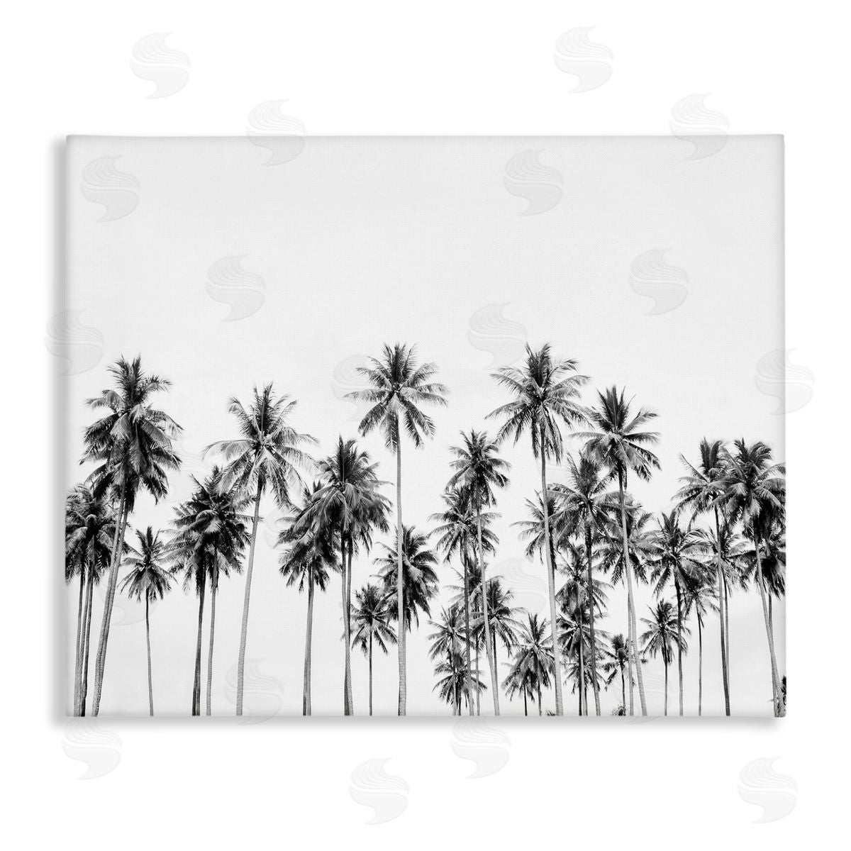 Sisi and Seb Palm Trees Paradise in Monochrome Canvas Wall Art Print