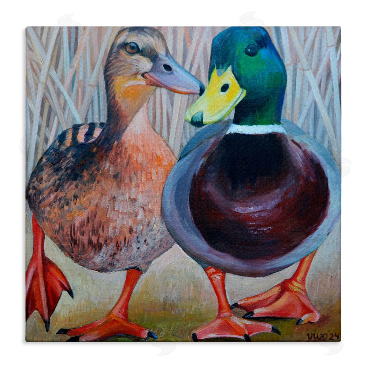 Violeta Vollmer Mallard & Brown Ducks Canvas Wall Art Print
