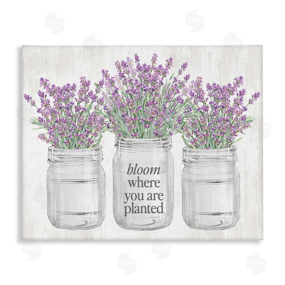 Lettered and Lined Where You're Planted Rustic Canvas Wall Art Print