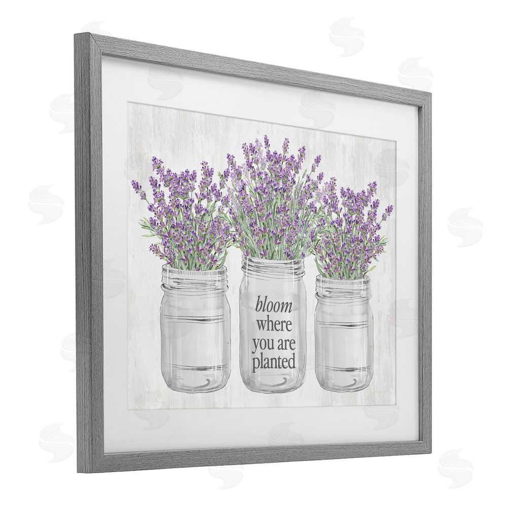Lettered and Lined Where You're Planted Rustic Gray Framed Print Under Glass with White Mat Wall Art