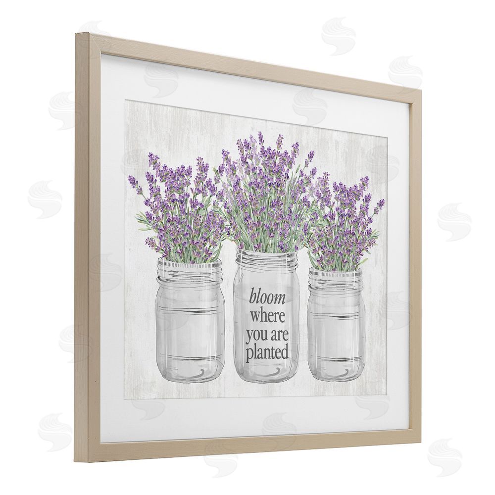 Lettered and Lined Where You're Planted Rustic Birch Framed Print Under Glass with White Mat Wall Art