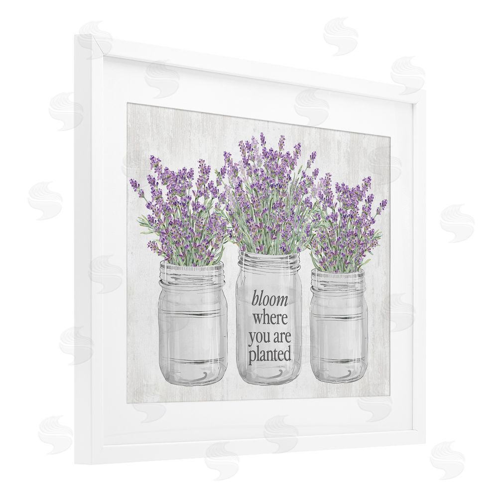 Lettered and Lined Where You're Planted Rustic White Framed Print Under Glass with Mat Wall Art