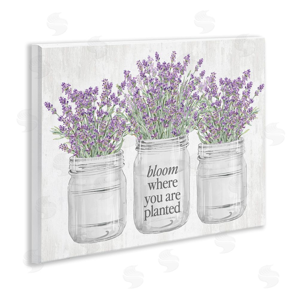Lettered and Lined Where You're Planted Rustic Wall Plaque Art Print