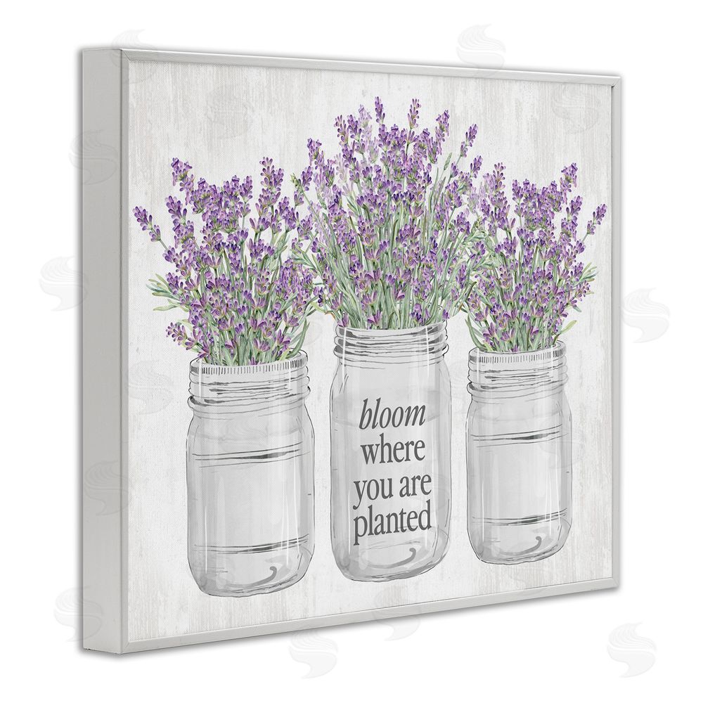 Lettered and Lined Where You're Planted Rustic White Framed Giclee Wall Art Print