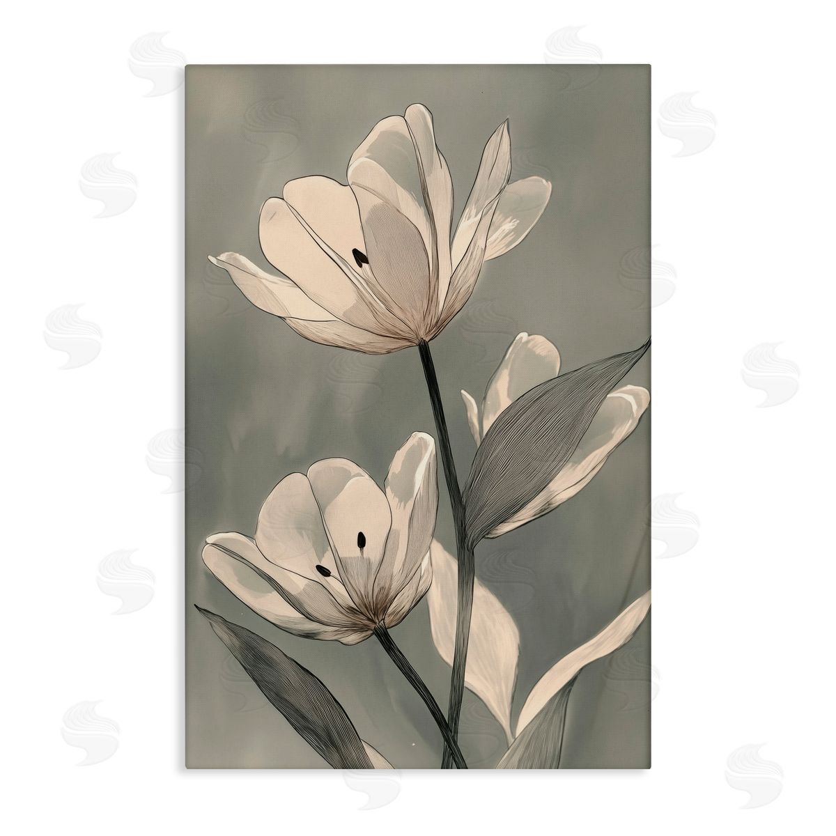 Annabelle Hall Times Three Budding Flowers Canvas Wall Art Print