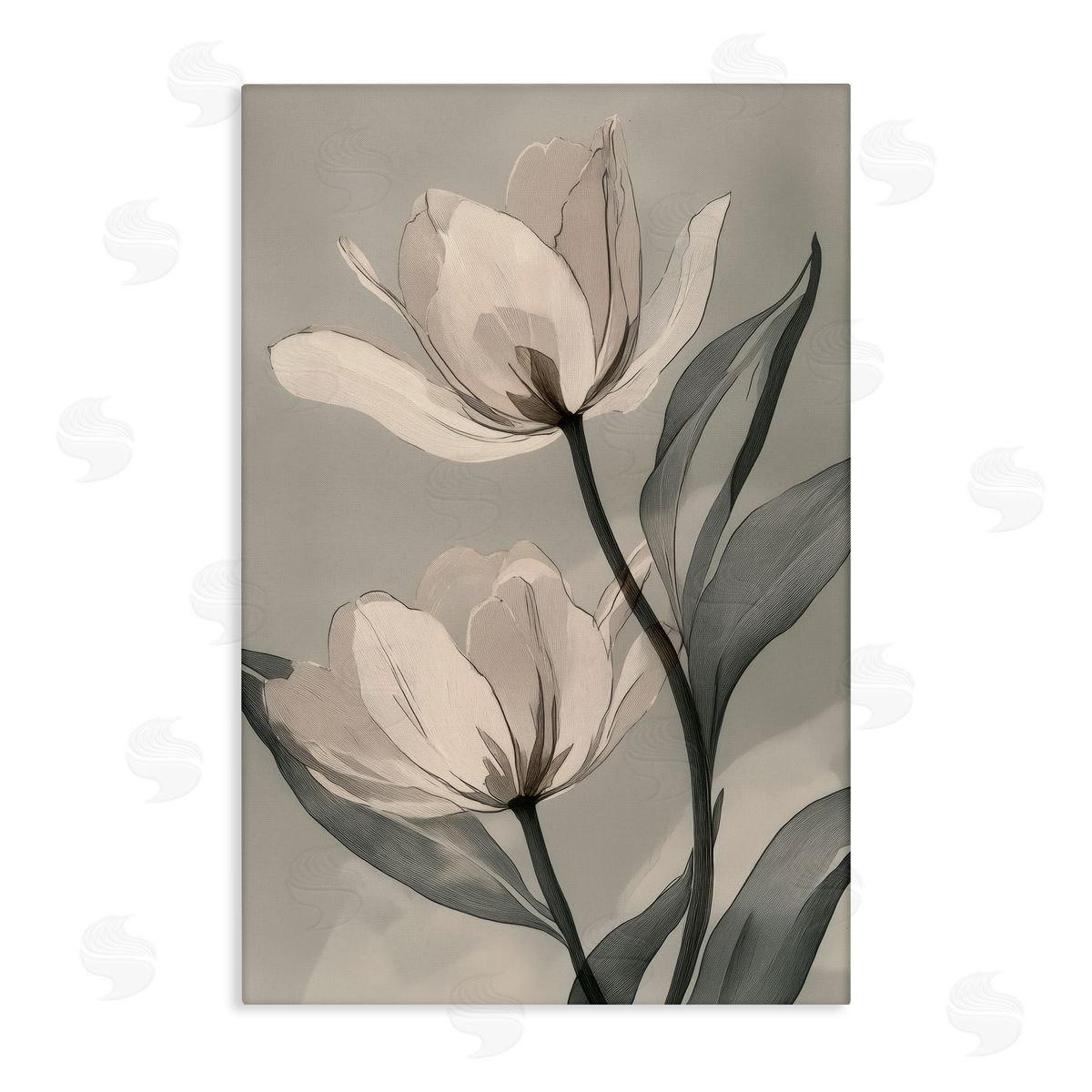 Annabelle Hall Budding Monochrome Magnolias Canvas Wall Art Print