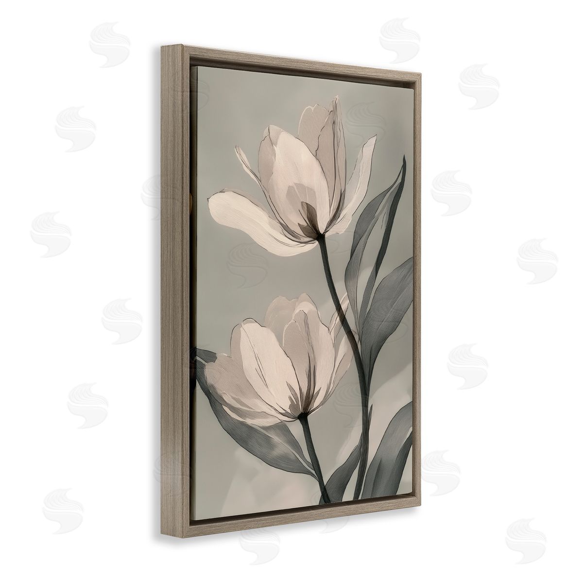 Annabelle Hall Budding Monochrome Magnolias Brown Floating Frame Canvas Art Print