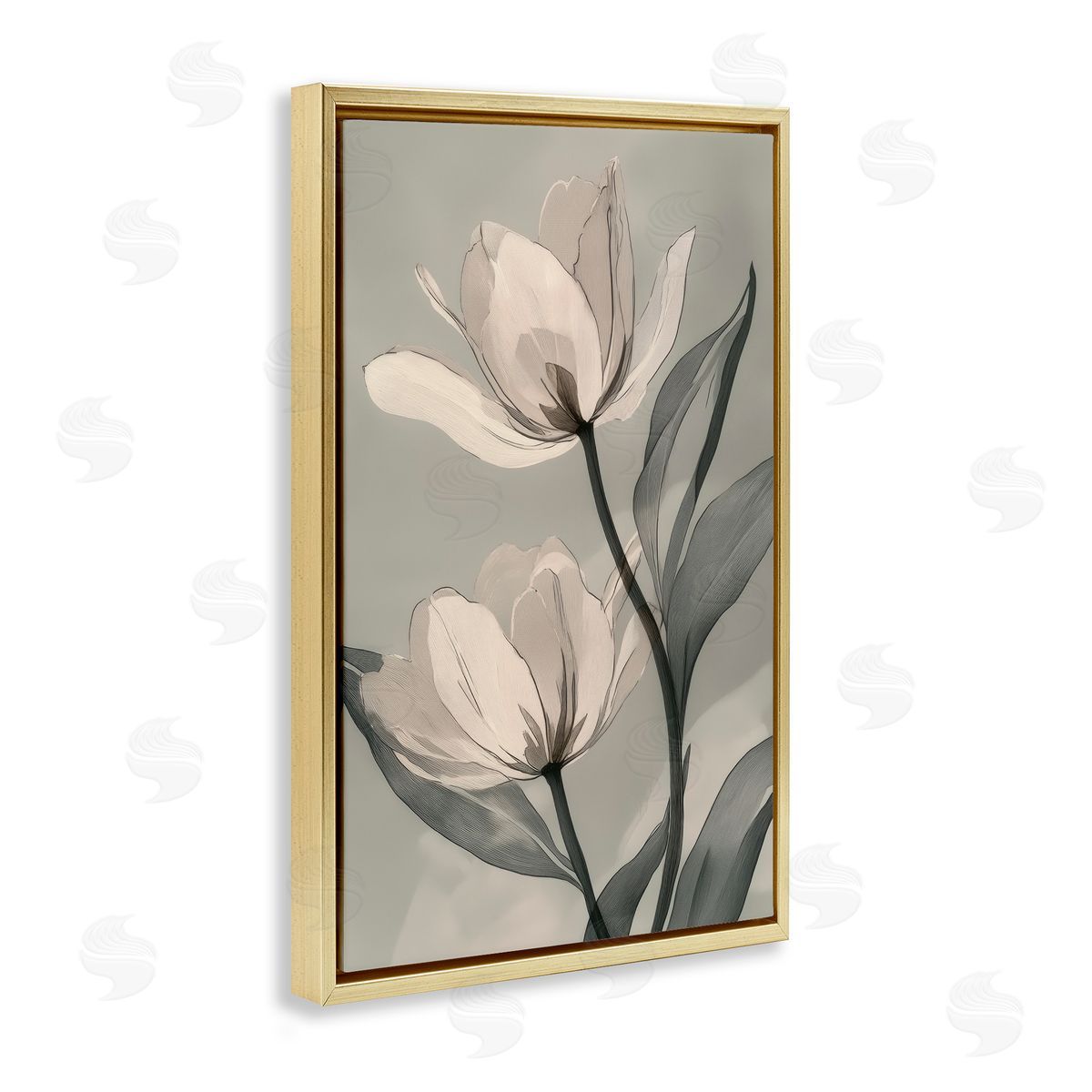 Annabelle Hall Budding Monochrome Magnolias Gold Floating Frame Canvas Art Print