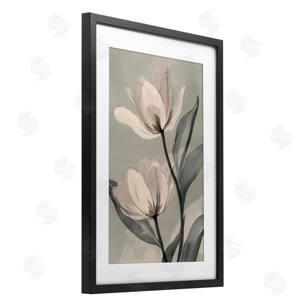 Annabelle Hall Budding Monochrome Magnolias Black Framed Print Under Glass Art