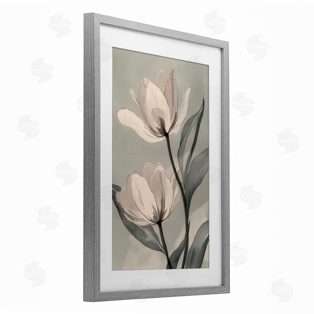 Annabelle Hall Budding Monochrome Magnolias Gray Framed Print Under Glass Art