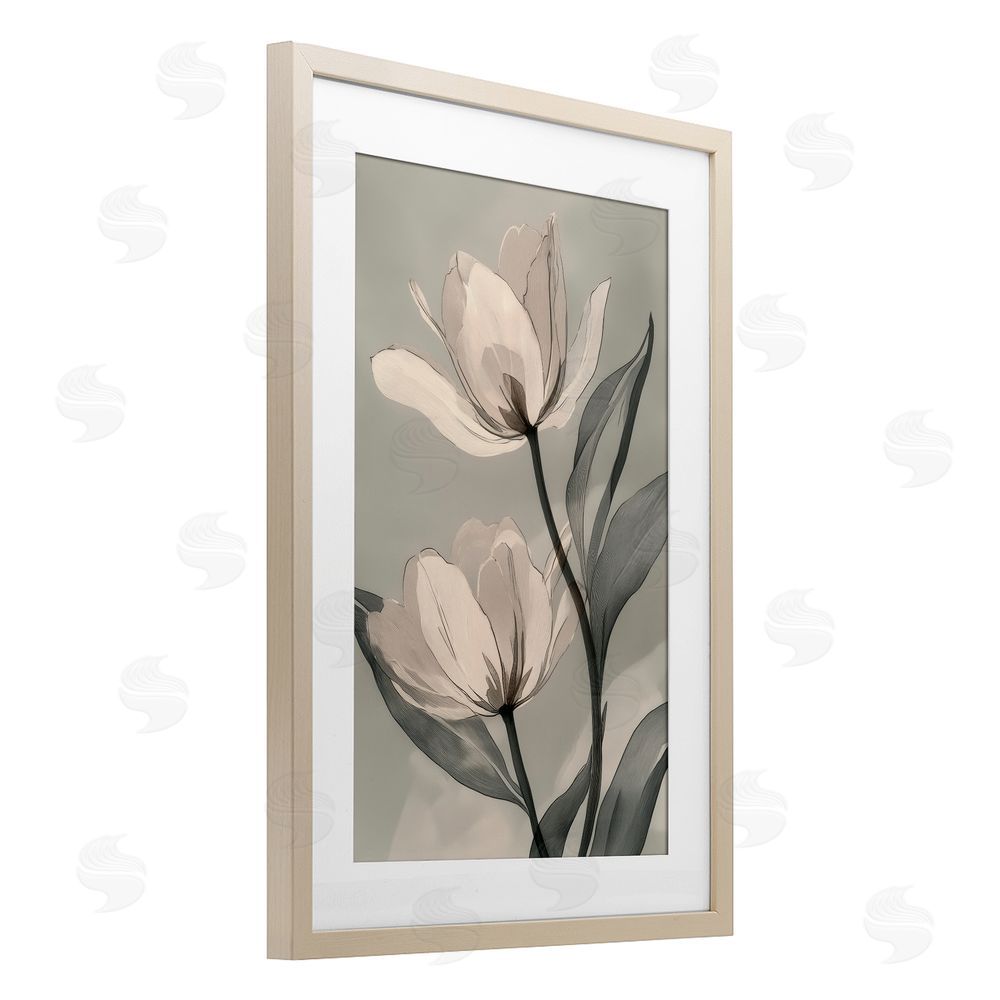 Annabelle Hall Budding Monochrome Magnolias Birch Framed Print Under Glass Art