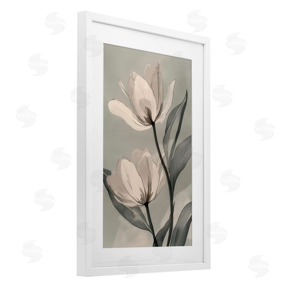 Annabelle Hall Budding Monochrome Magnolias White Framed Print Under Glass Art
