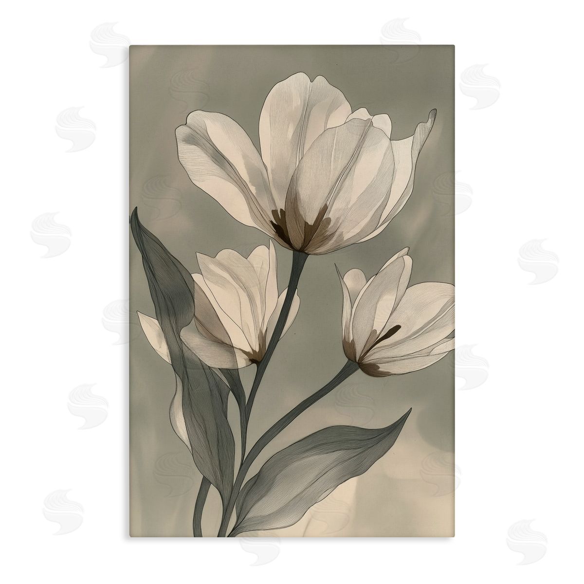 Annabelle Hall Times Three Budding Magnolias Canvas Wall Art Print