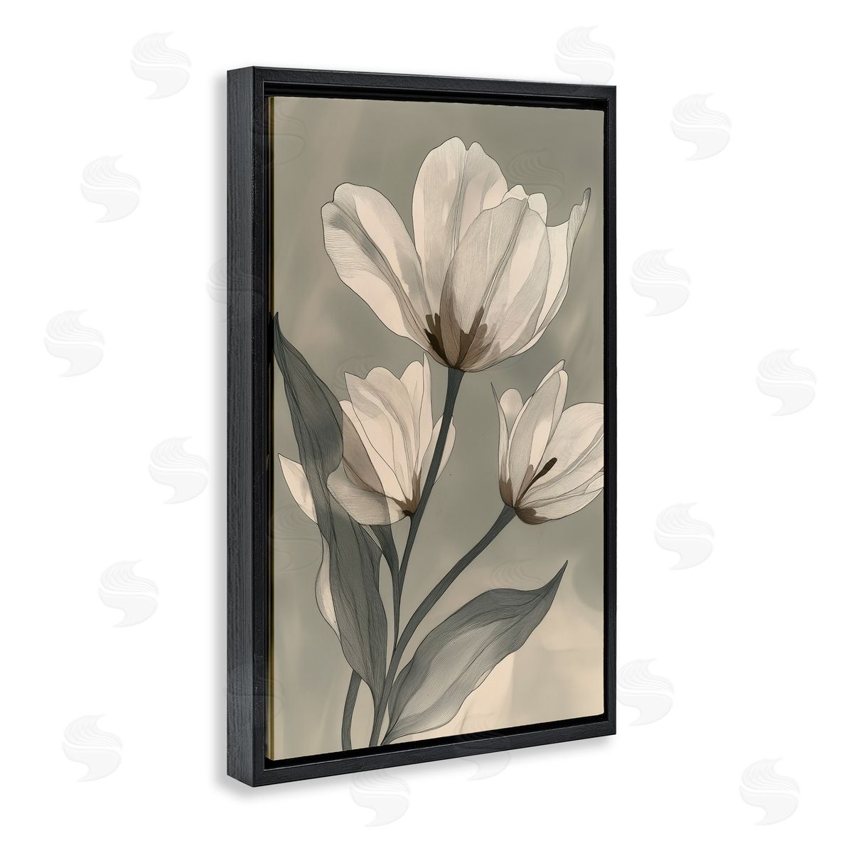 Annabelle Hall Times Three Budding Magnolias Black Floating Frame Canvas Wall Art Print