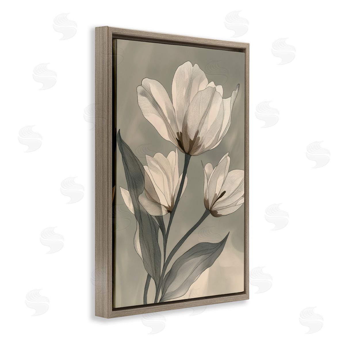 Annabelle Hall Times Three Budding Magnolias Brown Floating Frame Canvas Art Print