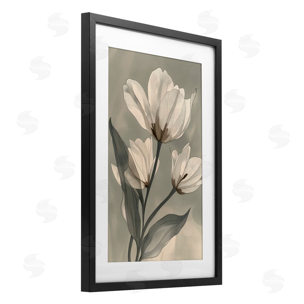 Annabelle Hall Times Three Budding Magnolias Black Framed Print Under Glass Art
